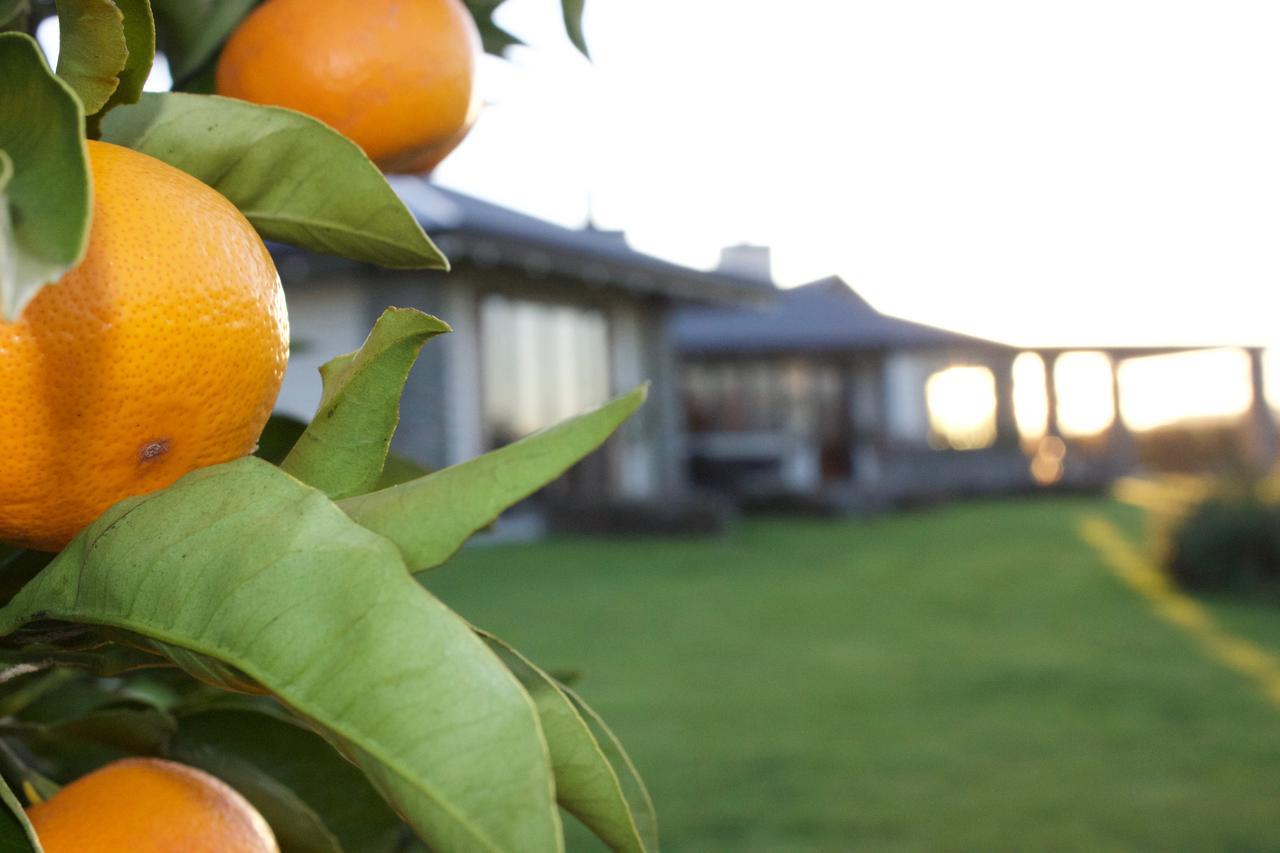 Kalldeen Luxury Accommodation Napier Εξωτερικό φωτογραφία